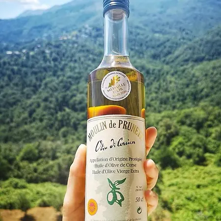 Le Refuge Orezza Hotel