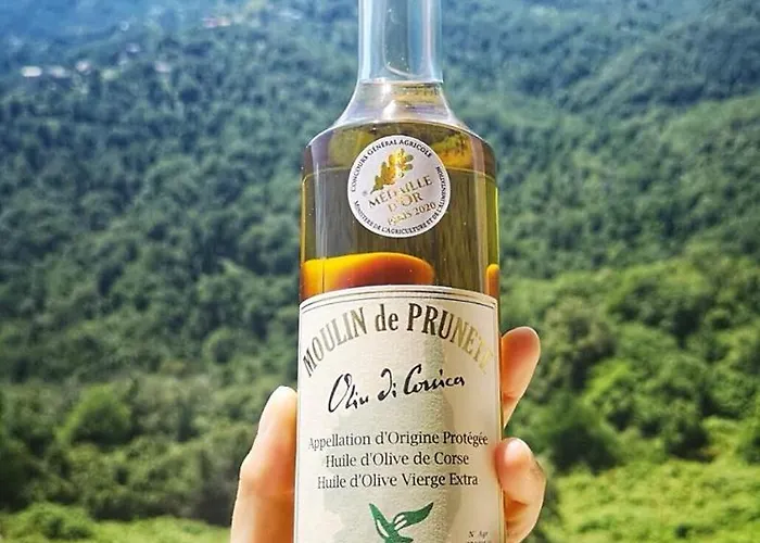 Le Refuge Orezza Hotel