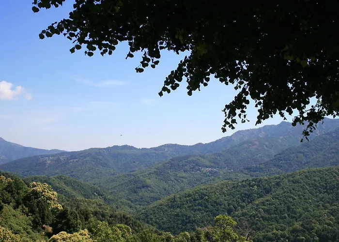 Le Refuge Orezza ホテル